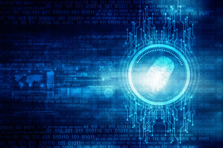 ANPR, ecco l'avventura di Nardò: tra successi e problemi aperti