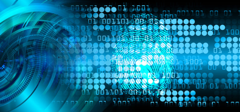 furto di identità digitale