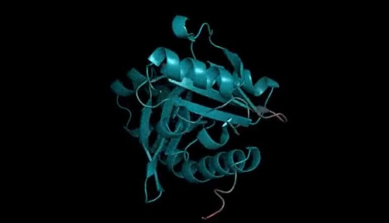 Intelligenza artificiale per lo sviluppo di nuove proteine: a che punto è la ricerca e dove ci porterà