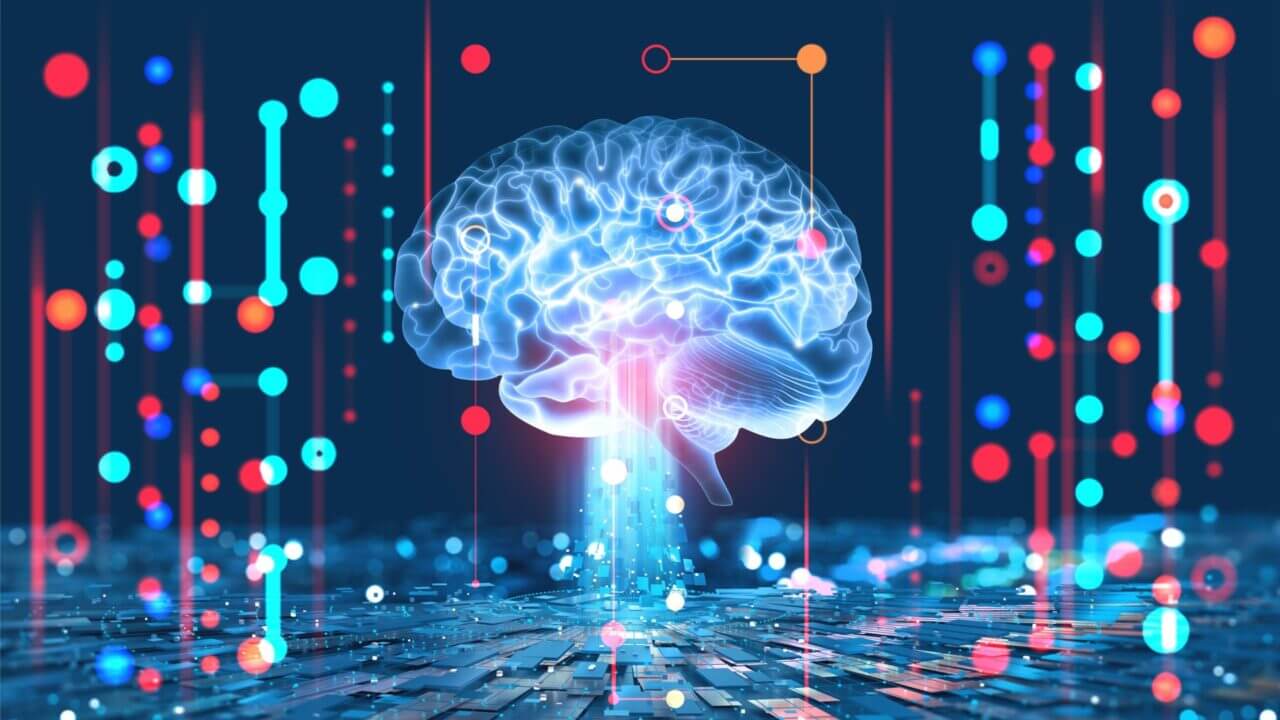 neuro scienze, cervello brain