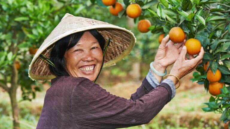 Live streaming agricolo in Cina: alla scoperta di un business che nasce dal basso