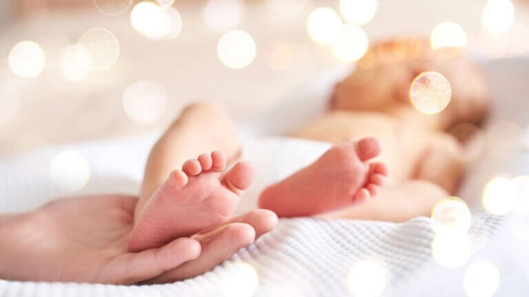 Sistema informativo CeDAP