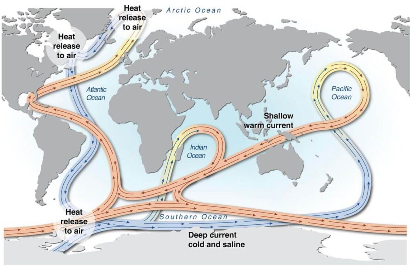 Effetto dell'Amoc (Corrente del Golfo) sui cambiamenti climatici