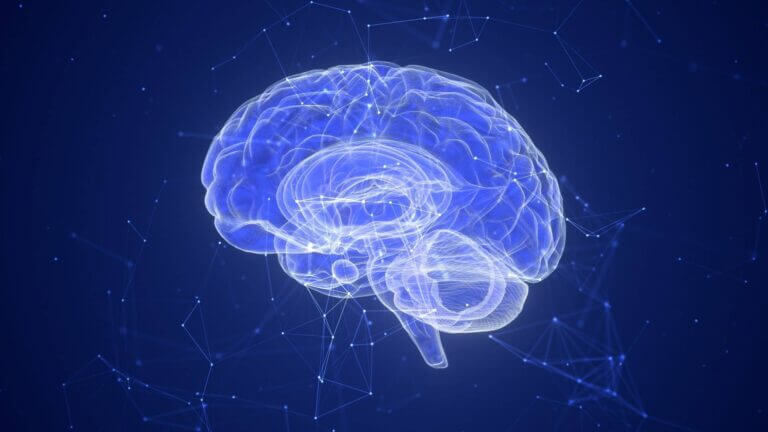 Brain computer interface (Bci): cos'è e perché conterà sempre di più; dipendenza TikTok; MUAI uso malevolo AI