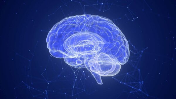 Brain computer interface (Bci): cos'è e perché conterà sempre di più; dipendenza TikTok