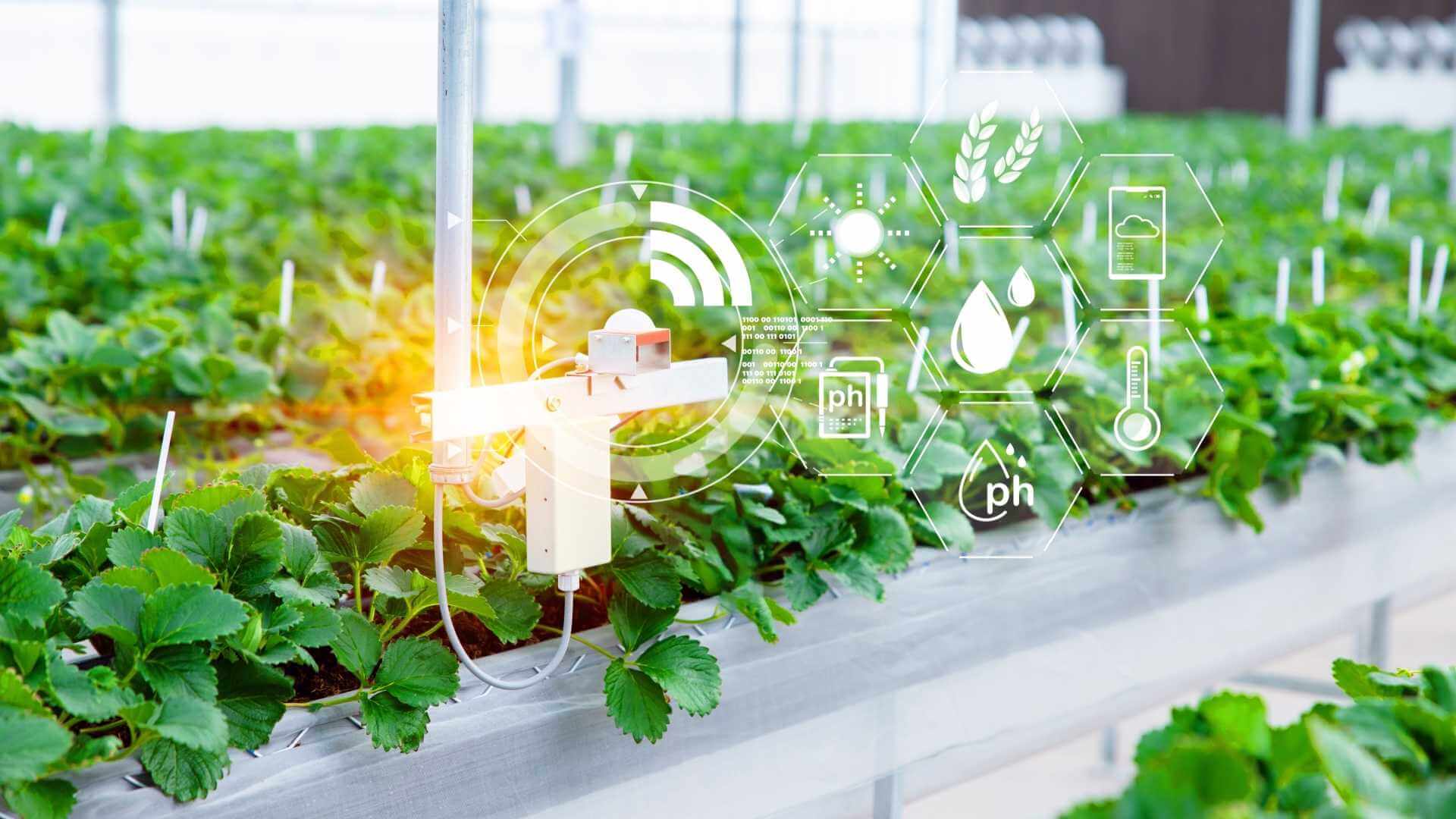 serra fotovoltaica intelligente (1)