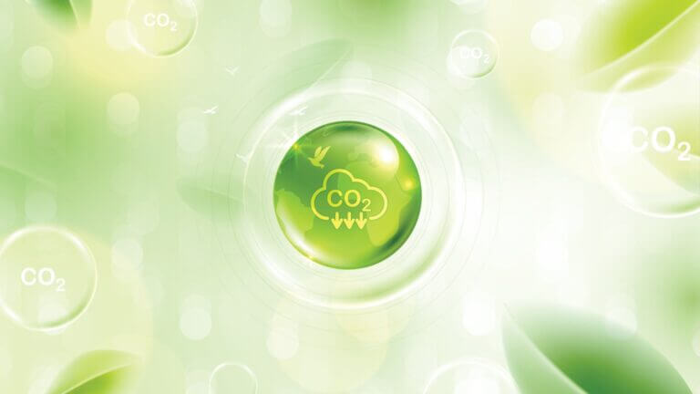 Carbon Market Outlook 2025