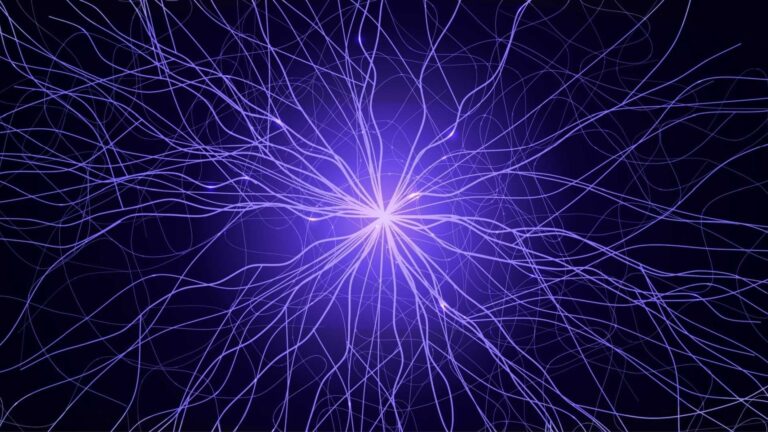 Biochemical neural networks (1)