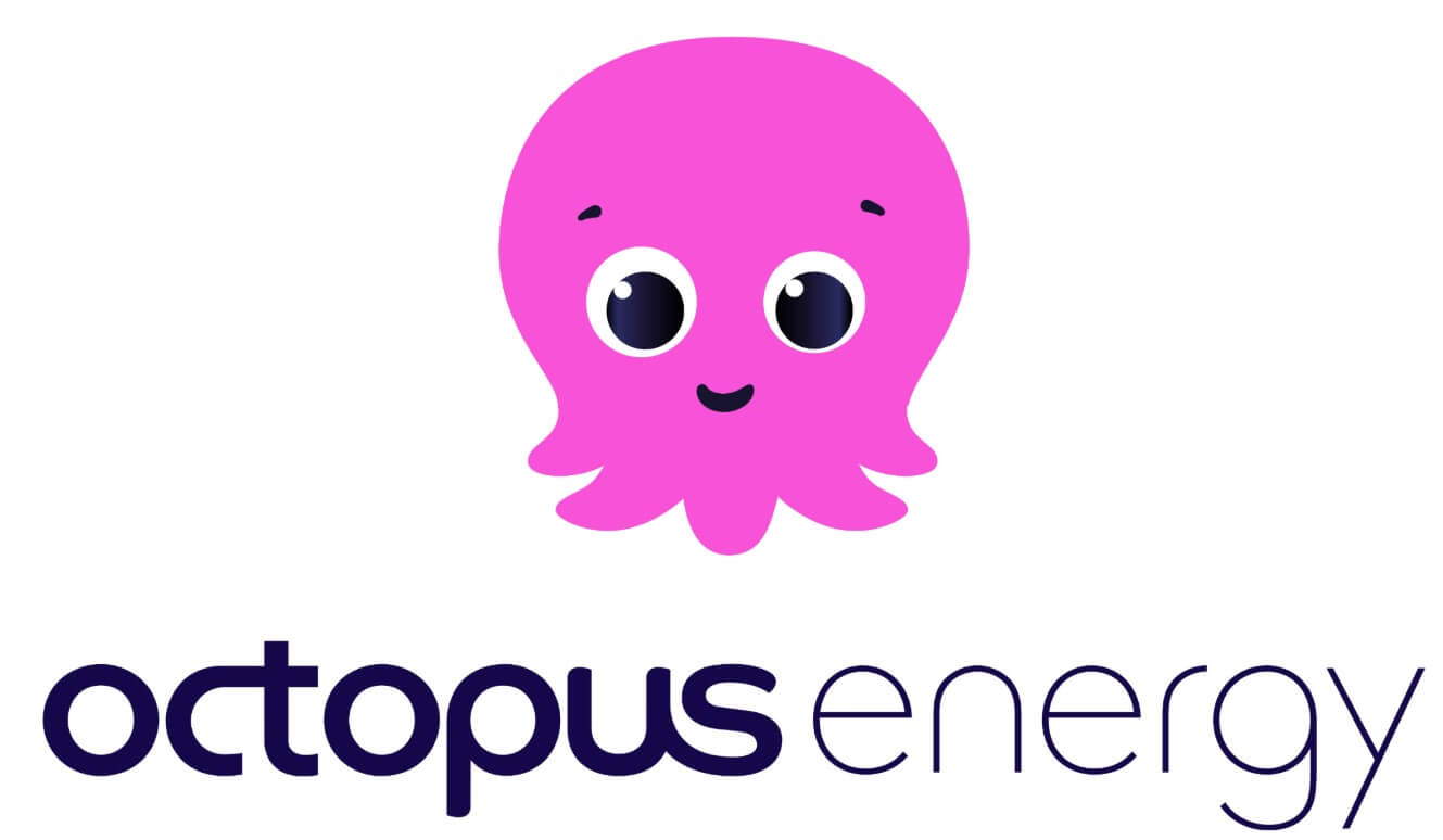 Le migliori offerte di octopus per luce e gas