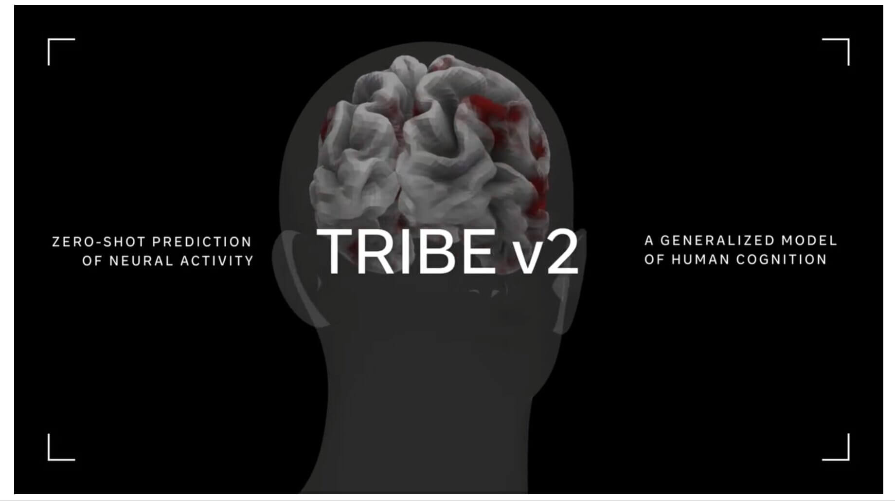 meta tribe neuroscienza