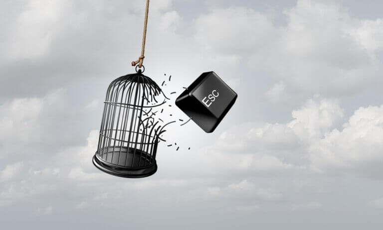 Escape,Metaphor,And,Concept,Of,Freedom,As,A,Business,Idea