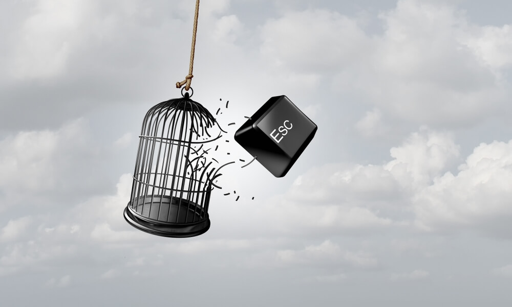 Escape,Metaphor,And,Concept,Of,Freedom,As,A,Business,Idea