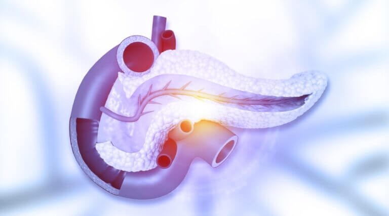Pancreas,Anatomy,,Pancreas,Spleen,And,Duodenum.,3d,Illustration