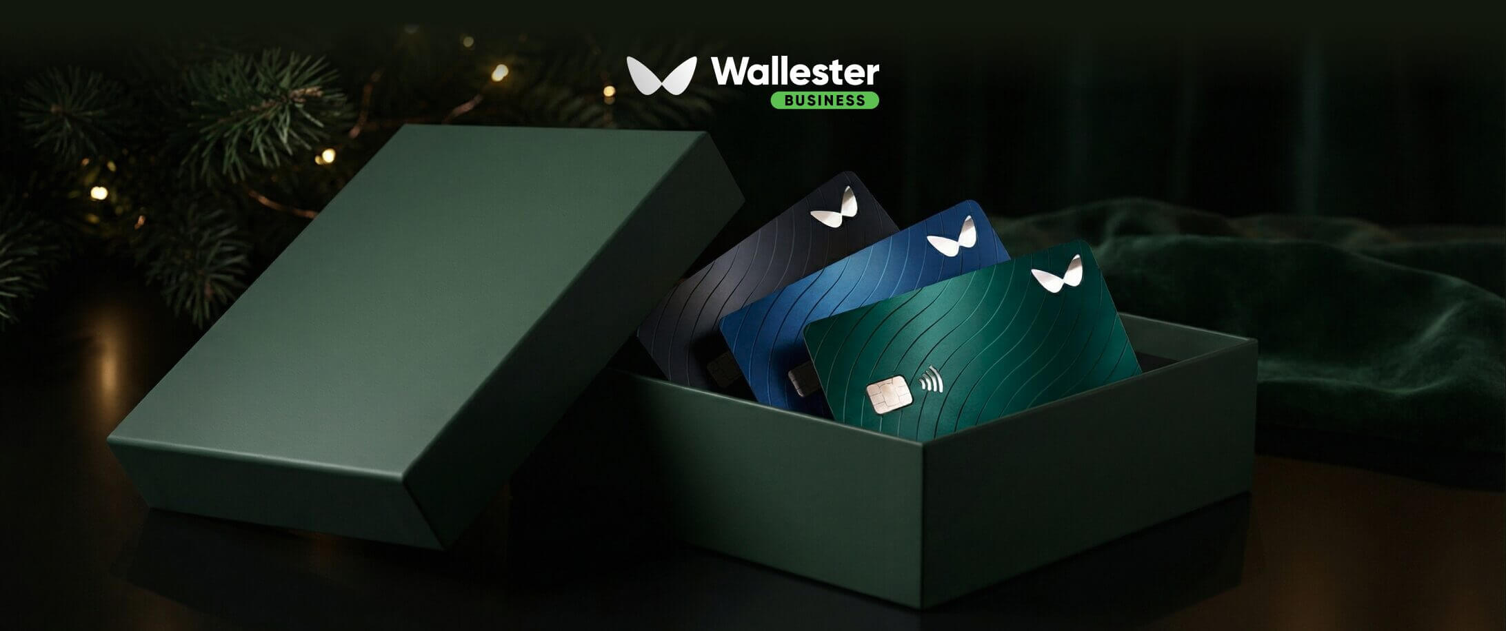Carte VISA illimitate con il nuovo conto Wllester Business