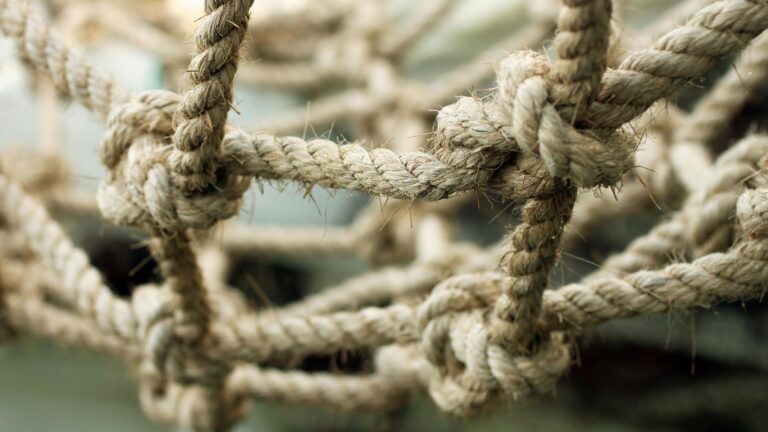 Networking-organizzativo