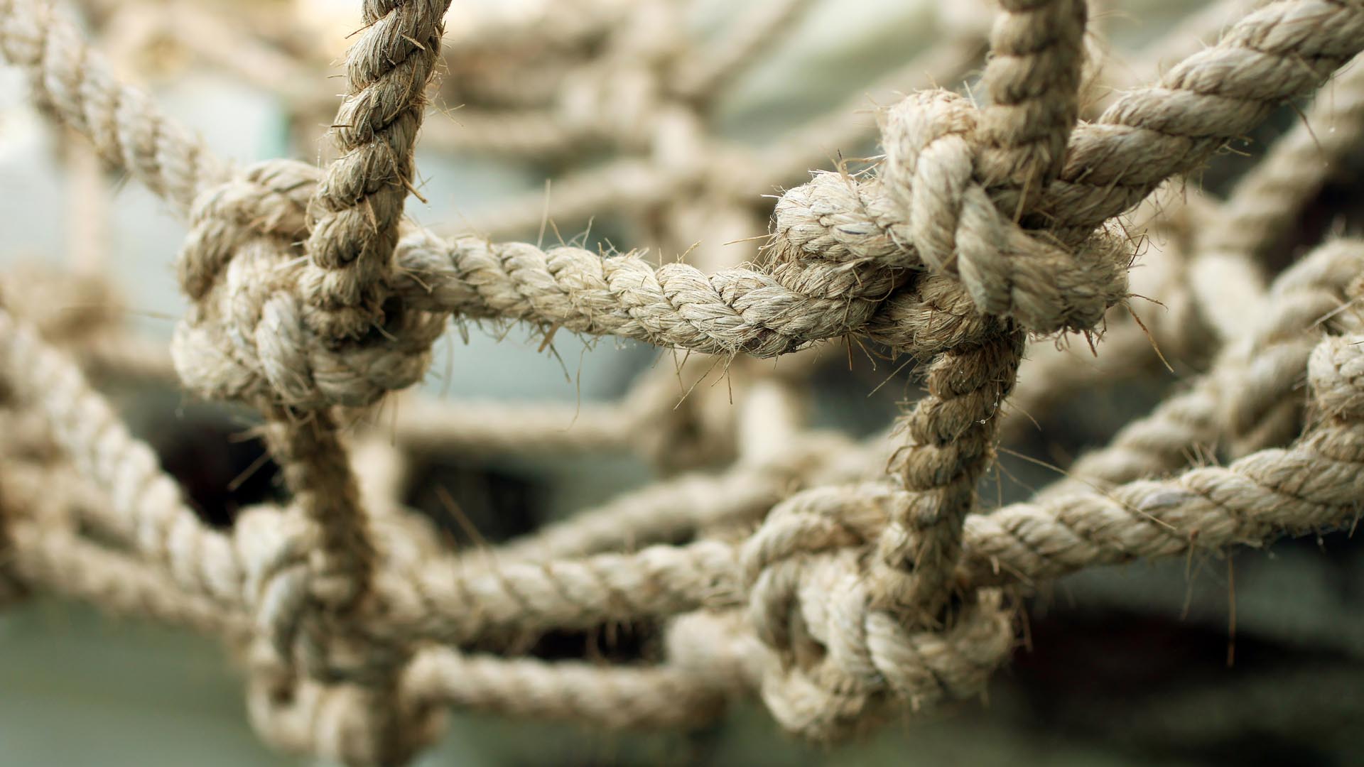Networking-organizzativo