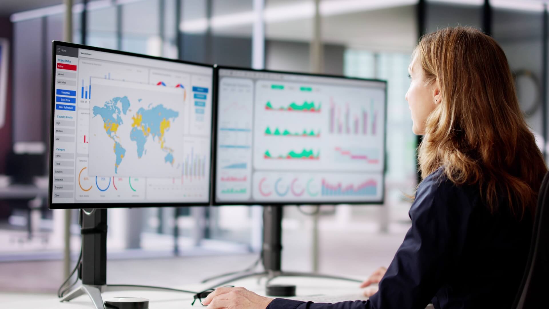 Software-Business-Intelligence-