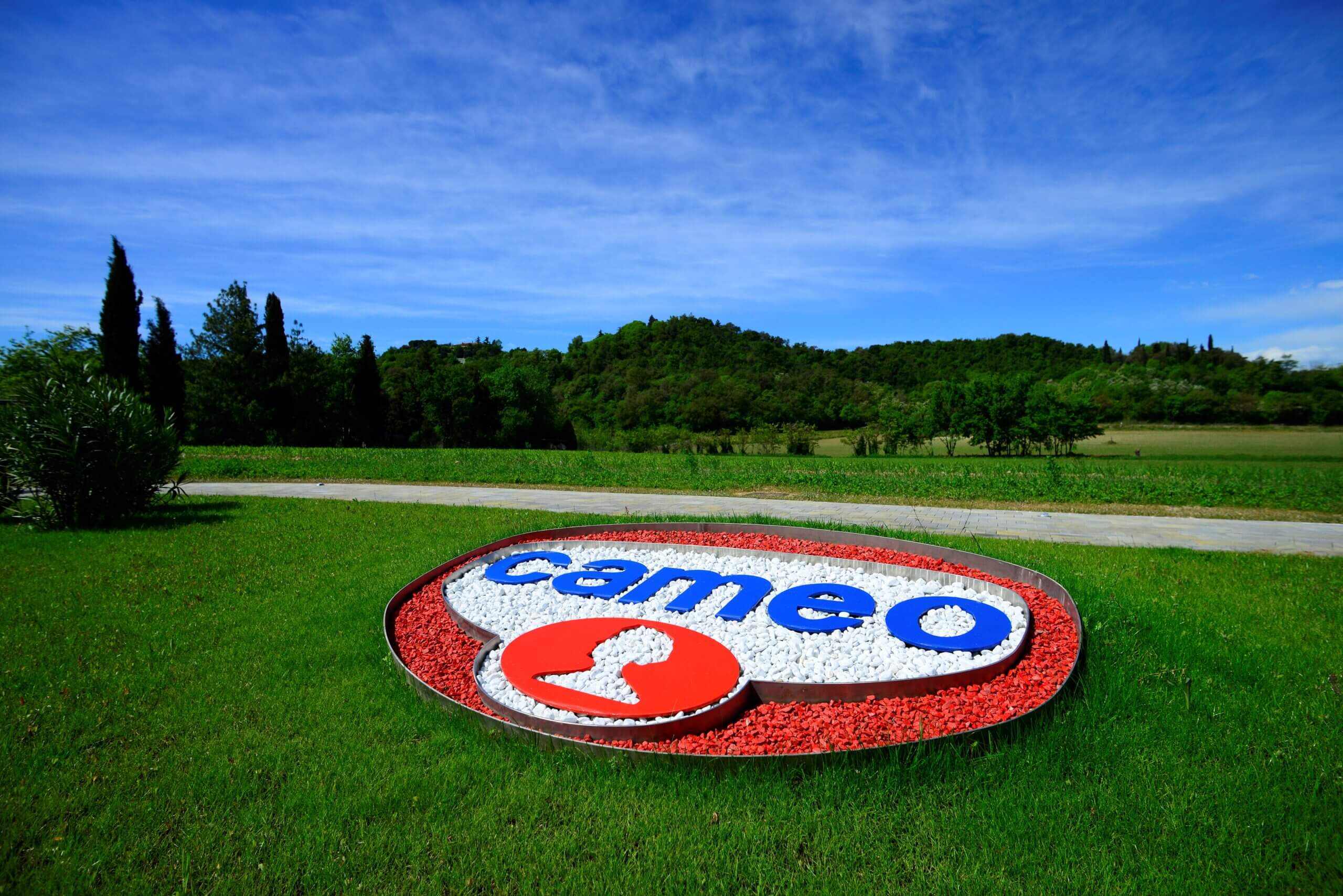 cameo1-scaled