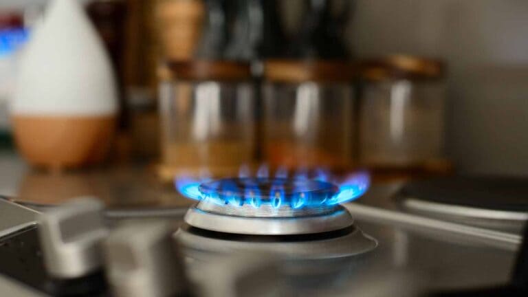 Luce e gas a prezzo bloccato Pulsee